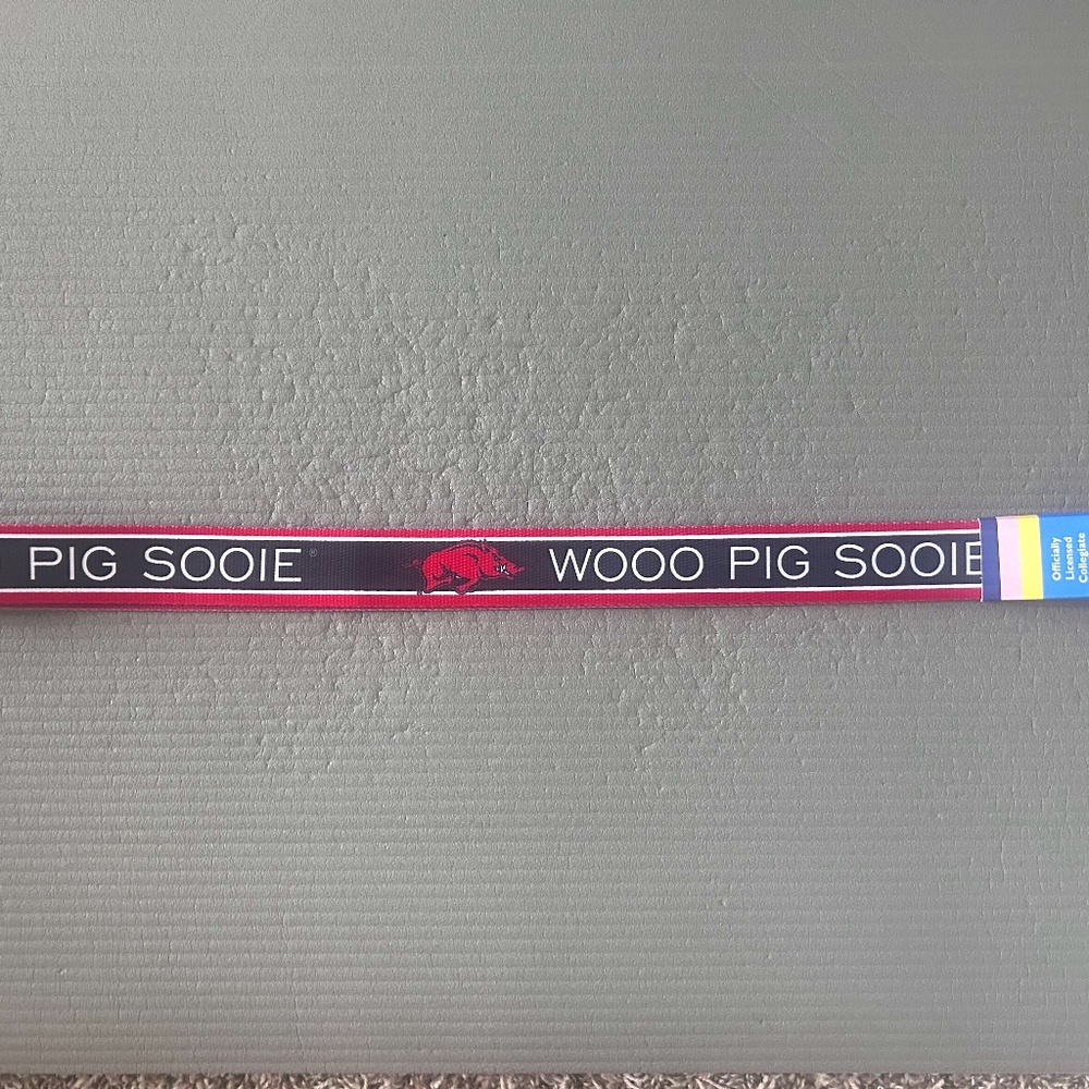 Purse Strap